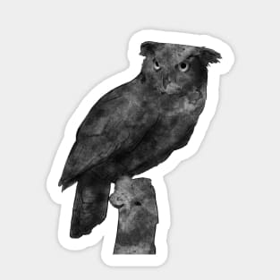 Owl Sticker